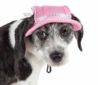 Pet Life 'Sea Spot Sun' Uv Protectant Adjustable Fashion Mesh Brimmed Dog Hat Cap (Color: Pink, size: medium)